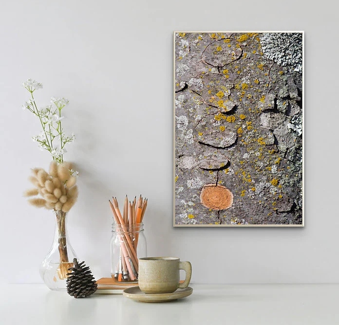 Nature wall art available for sale at Sense & Sanity